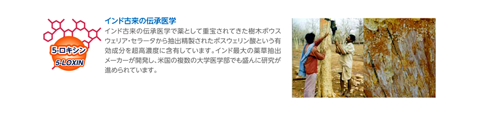 インド古来の伝承医学でクスリとして重宝されたポスウェリン酸を高濃度抽出した５－ロキシン配合